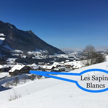VacheresseLes Sapins Blancsアパートメント エクステリア 写真
